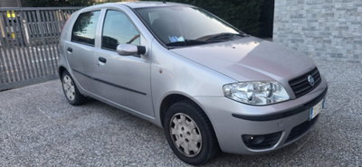 Fiat Punto 1.2 5 porte Actual (5)