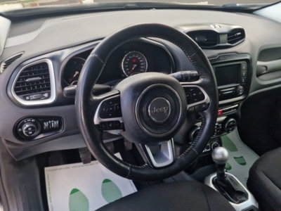 Jeep Renegade 1.6 Mjt 120 CV Limited (10)