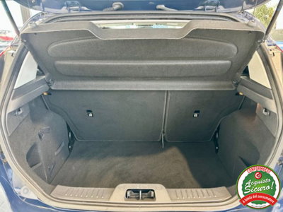 Ford Fiesta 1.5 TDCi 75CV 5 porte Titanium (20)