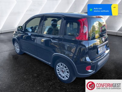 Fiat Panda Cross Cross 1.0 FireFly S&S Hybrid (4)