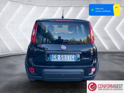 Fiat Panda Cross Cross 1.0 FireFly S&S Hybrid (5)