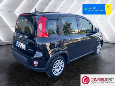 Fiat Panda Cross Cross 1.0 FireFly S&S Hybrid (6)
