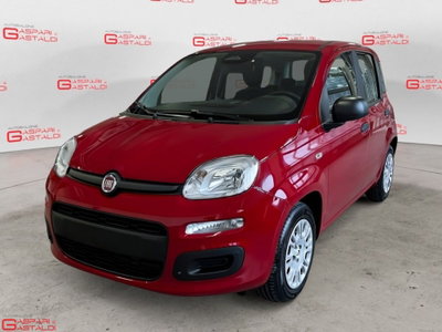 Fiat Pandina 1.0 firefly hybrid Icon s&s 65cv nuova