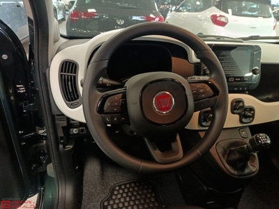 Fiat Pandina 1.0 firefly hybrid s&s 65cv (12)