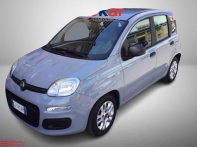 Fiat Panda Cross Cross 1.0 FireFly S&S Hybrid usata
