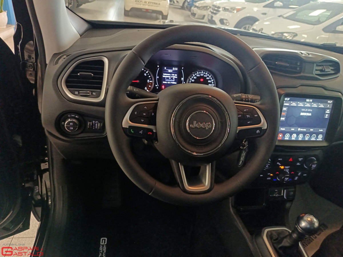 Jeep Renegade 1.6 mjt Longitude 2wd 130cv (13)