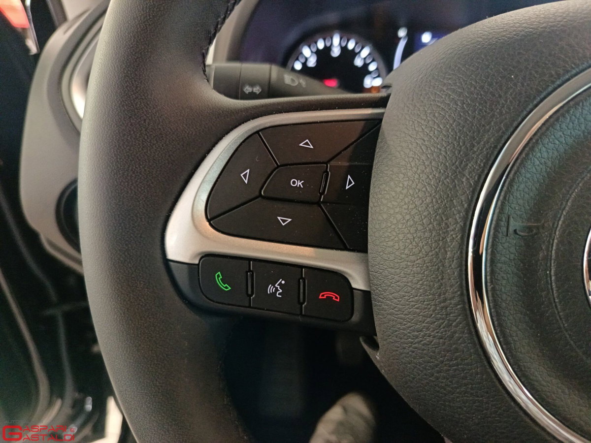 Jeep Renegade 1.6 mjt Longitude 2wd 130cv (19)