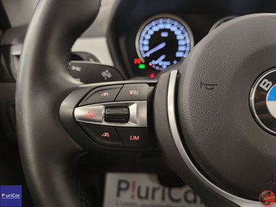 BMW X1 sDrive20d (17)