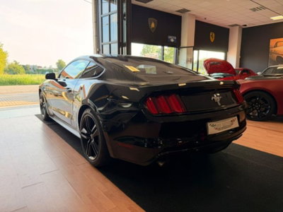 Ford Mustang Coupé Fastback 2.3 EcoBoost (9)