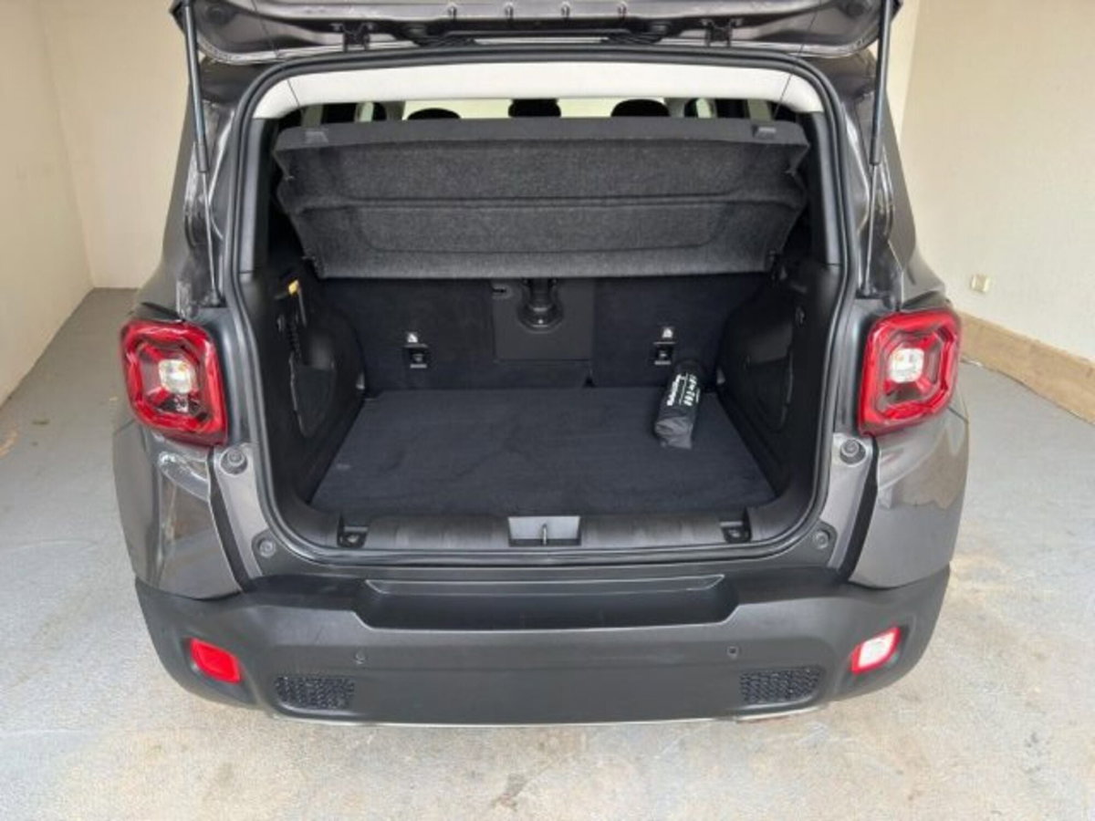 Jeep Renegade 1.3 T4 DDCT Limited (6)