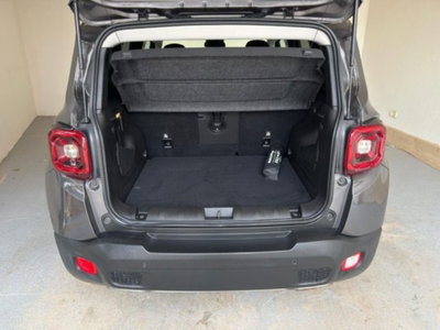 Jeep Renegade 1.3 T4 DDCT Limited (6)