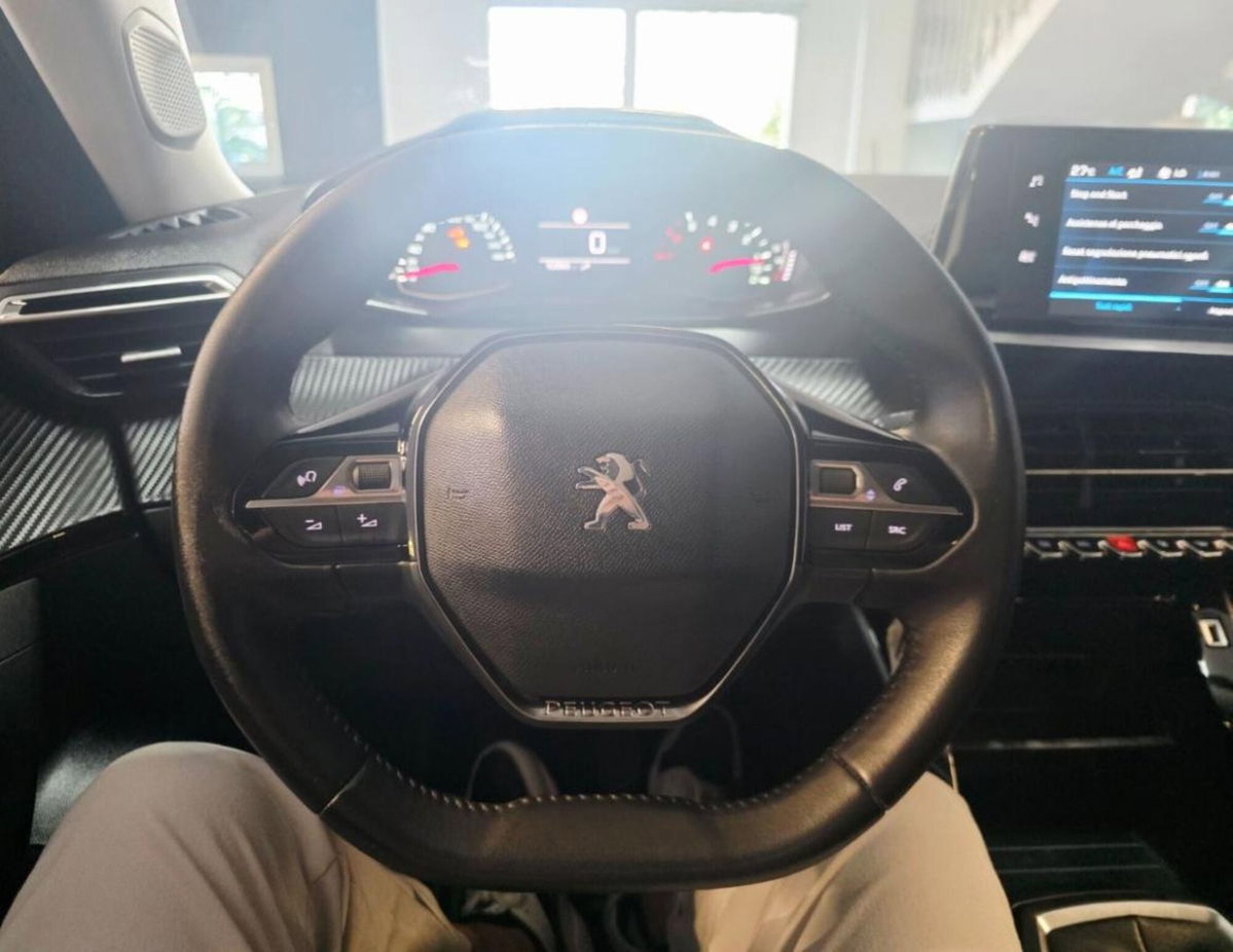 Peugeot 2008 BlueHDi 110 S&S Active Pack (15)