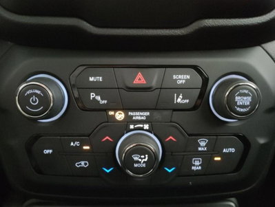 Jeep Renegade 1.6 Mjt 120 CV Limited (17)