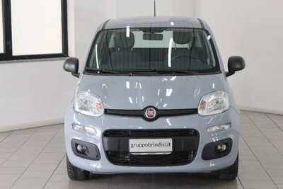 Fiat Panda 1.2 Easy (2)