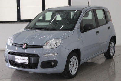 Fiat Panda 1.2 Easy (3)