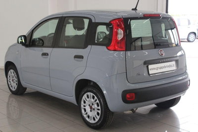 Fiat Panda 1.2 Easy (4)