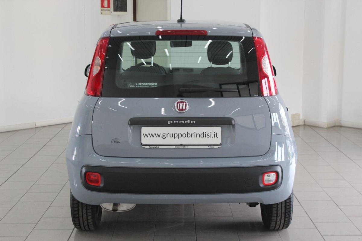 Fiat Panda 1.2 Easy (5)