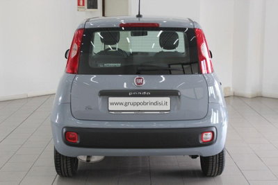 Fiat Panda 1.2 Easy (5)