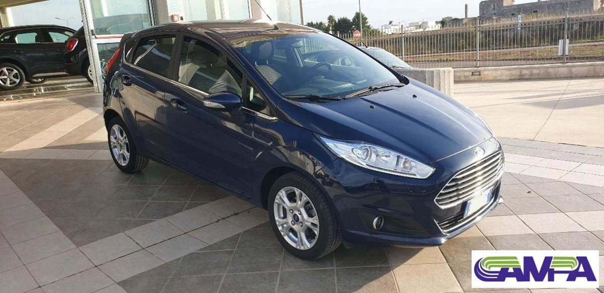 Ford Fiesta 1.4 5 porte Bz.- GPL Titanium (3)