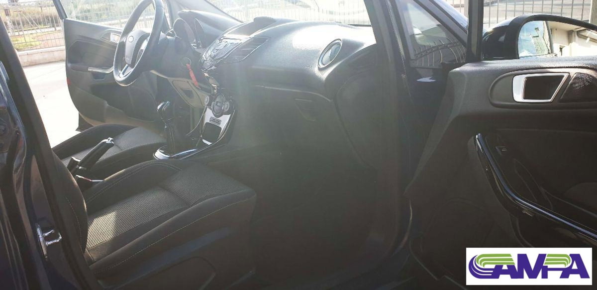 Ford Fiesta 1.4 5 porte Bz.- GPL Titanium (8)