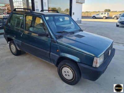 Fiat Panda 900 i.e. cat CLX (3)