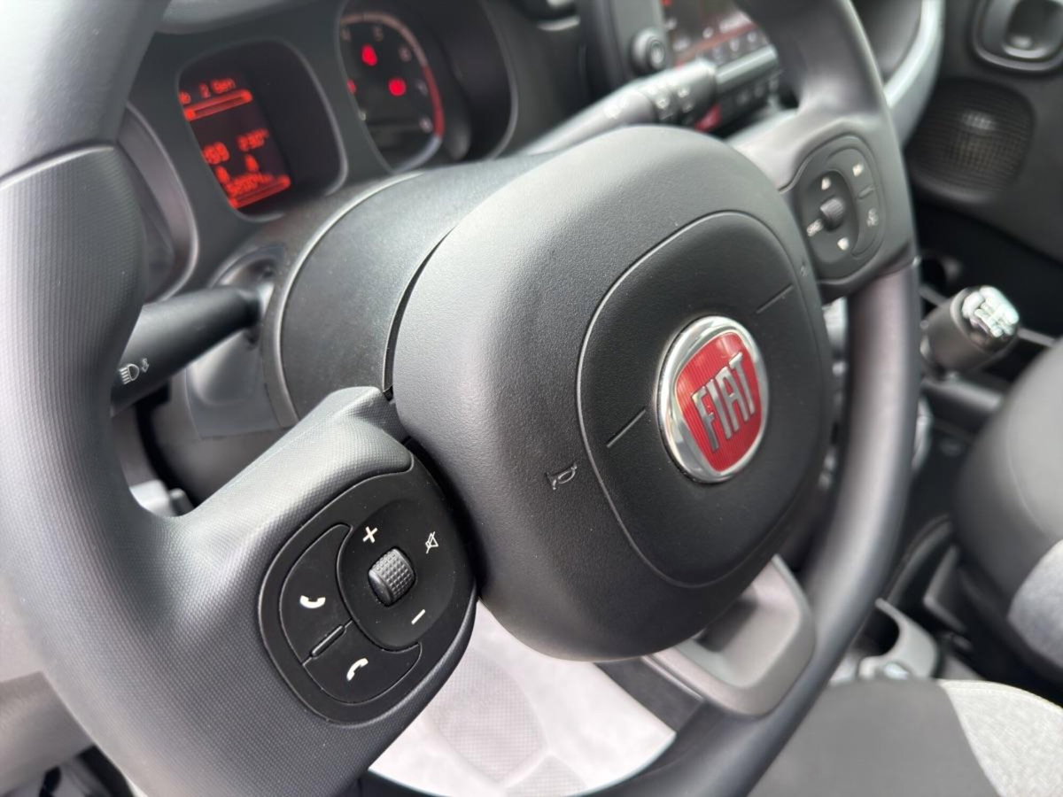 Fiat Panda 1.0 FireFly S&S Hybrid City Cross (17)