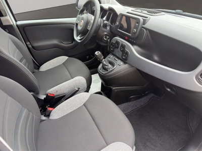 Fiat Panda 1.0 FireFly S&S Hybrid City Cross (8)