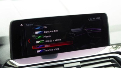 BMW X4 xDrive25d xLine (14)
