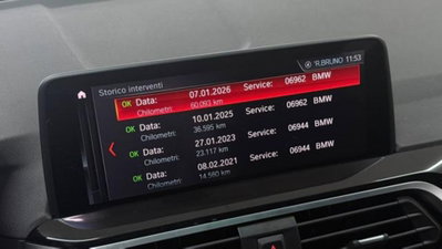 BMW X4 xDrive25d xLine (15)