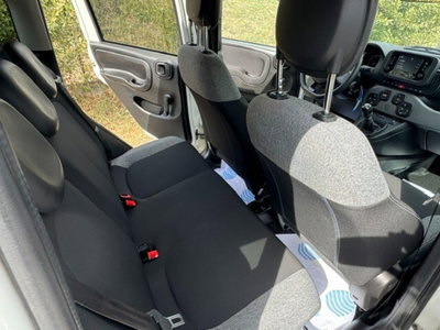 Fiat Panda 1.0 FireFly S&S Hybrid City Life (7)