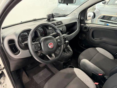 Fiat Panda 1.0 firefly hybrid s&s 70cv 5p.ti (8)