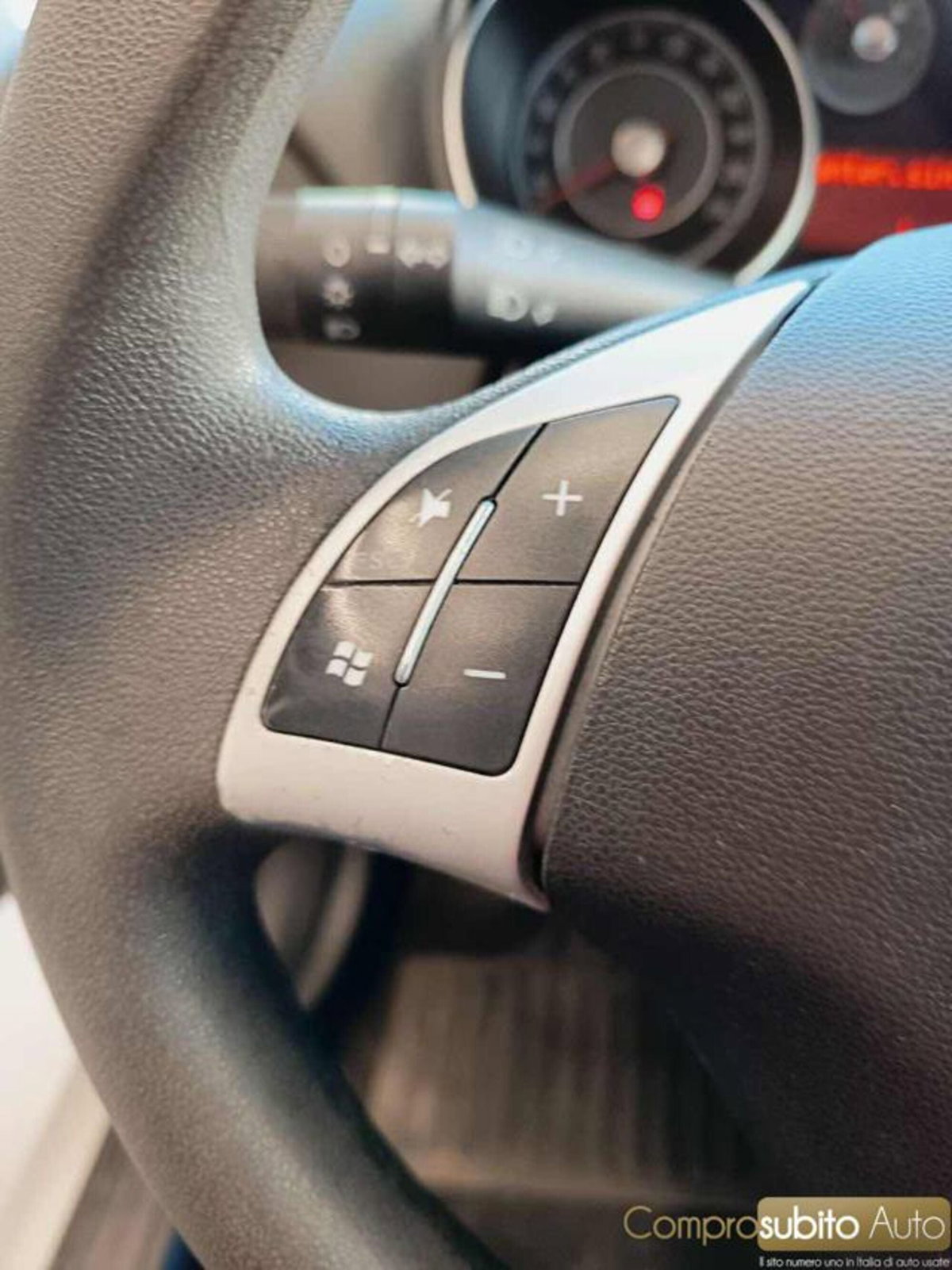 Fiat Punto Evo 1.3 Mjt 75 CV 5 porte Active (16)