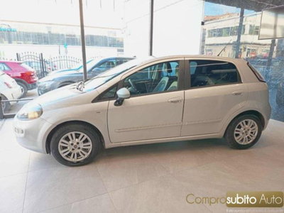 Fiat Punto Evo 1.3 Mjt 75 CV 5 porte Active (4)