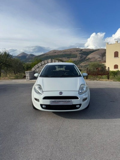 Fiat Punto 1.3 MJT II S&S 95 CV 5 porte Street