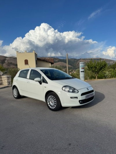 Fiat Punto 1.3 MJT II S&S 95 CV 5 porte Street (16)
