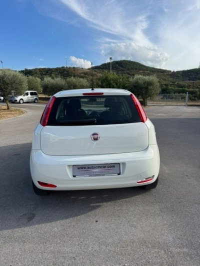 Fiat Punto 1.3 MJT II S&S 95 CV 5 porte Street (3)