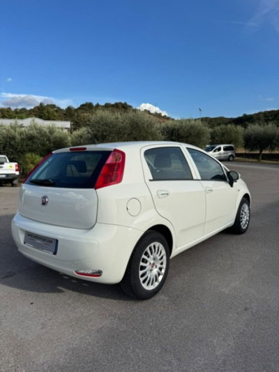 Fiat Punto 1.3 MJT II S&S 95 CV 5 porte Street (5)