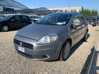 Fiat Punto 1.2 8V 5 porte Lounge usata