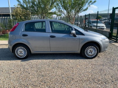 Fiat Punto 1.2 8V 5 porte Lounge (4)