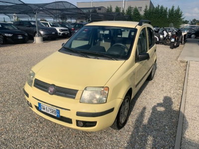 Fiat Panda 1.2 Dynamic Dualogic usata