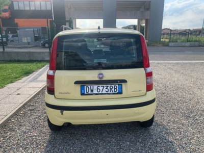 Fiat Panda 1.2 Dynamic Dualogic (4)