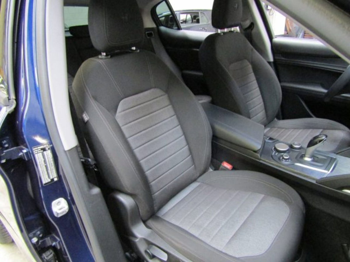Alfa Romeo Stelvio Stelvio 2.2 Turbodiesel 190 CV AT8 Q4 Executive (18)