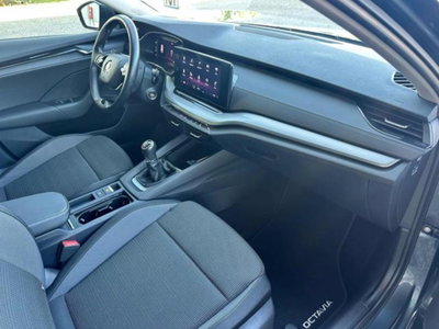 Skoda Octavia Station Wagon 2.0 TDI EVO SCR DSG Wagon Executive (12)