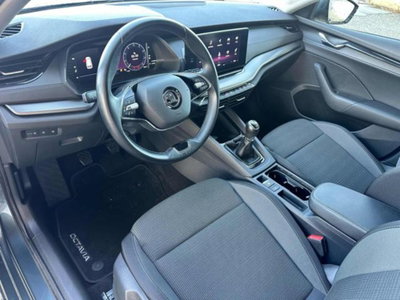 Skoda Octavia Station Wagon 2.0 TDI EVO SCR DSG Wagon Executive (8)