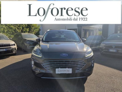 Ford Kuga 1.5 EcoBlue 120 CV aut. 2WD ST-Line X usata