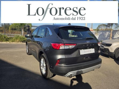 Ford Kuga 1.5 EcoBlue 120 CV aut. 2WD ST-Line X (2)