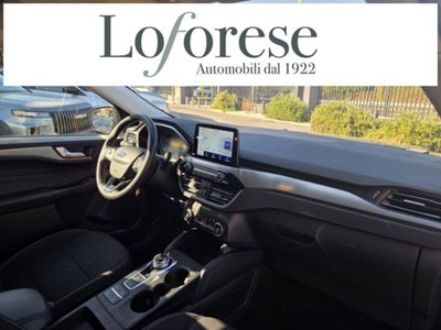 Ford Kuga 1.5 EcoBlue 120 CV aut. 2WD ST-Line X (9)
