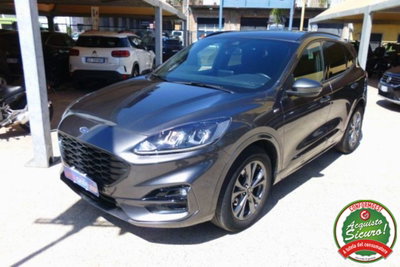 Ford Kuga 1.5 EcoBlue 120 CV 2WD ST-Line (3)