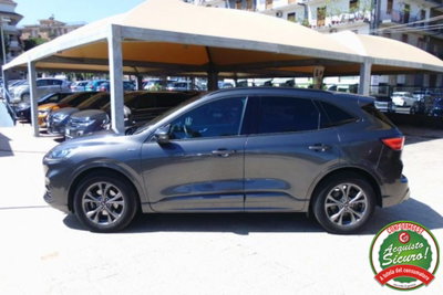 Ford Kuga 1.5 EcoBlue 120 CV 2WD ST-Line (4)