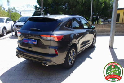 Ford Kuga 1.5 EcoBlue 120 CV 2WD ST-Line (7)